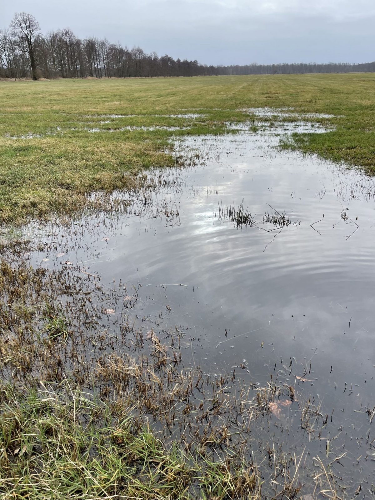 ABC2D306-5F26-47AE-A031-4C3BEB66381D