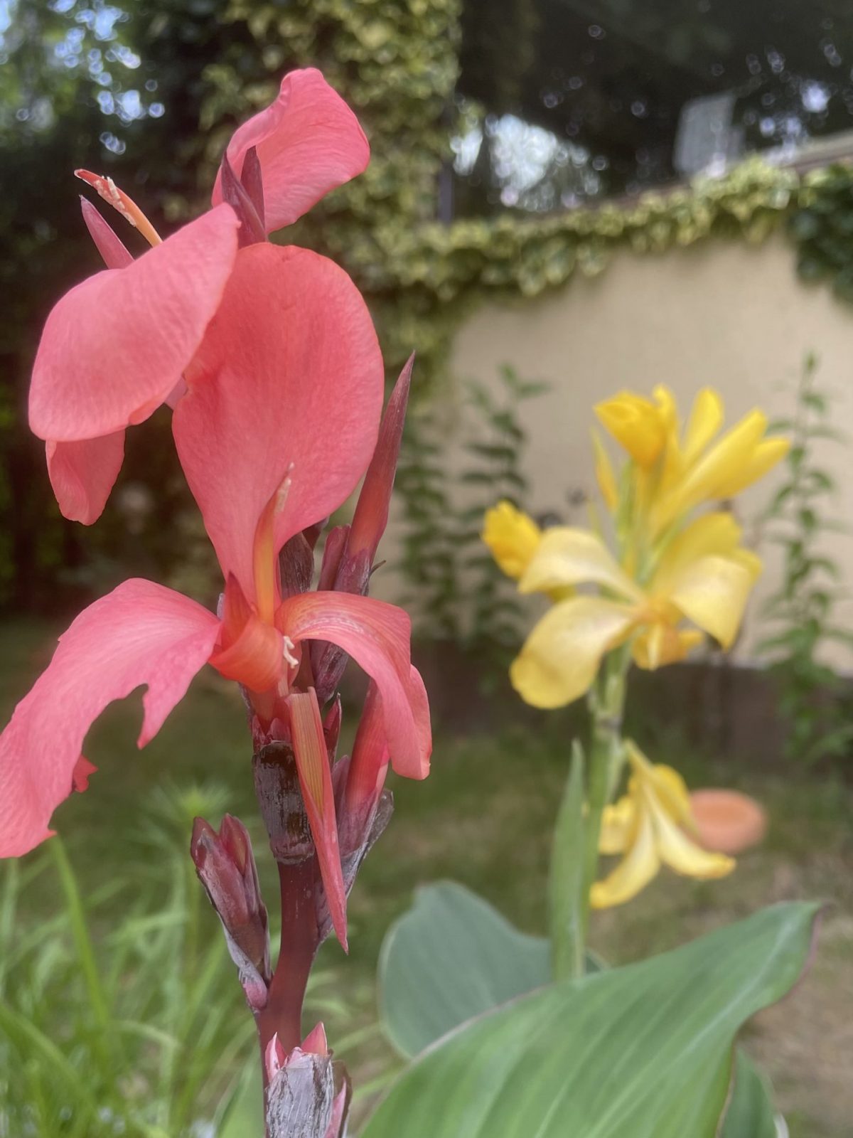 ABC575D9-93C6-41E1-83B7-1D4A824E5D10