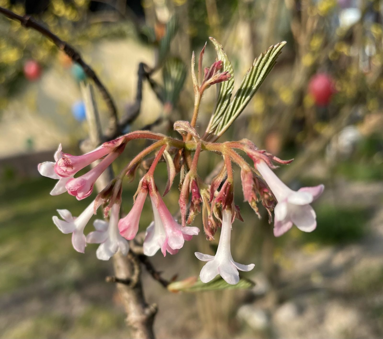 ABCAEEDB-6C15-4C79-B60D-384873814BA6