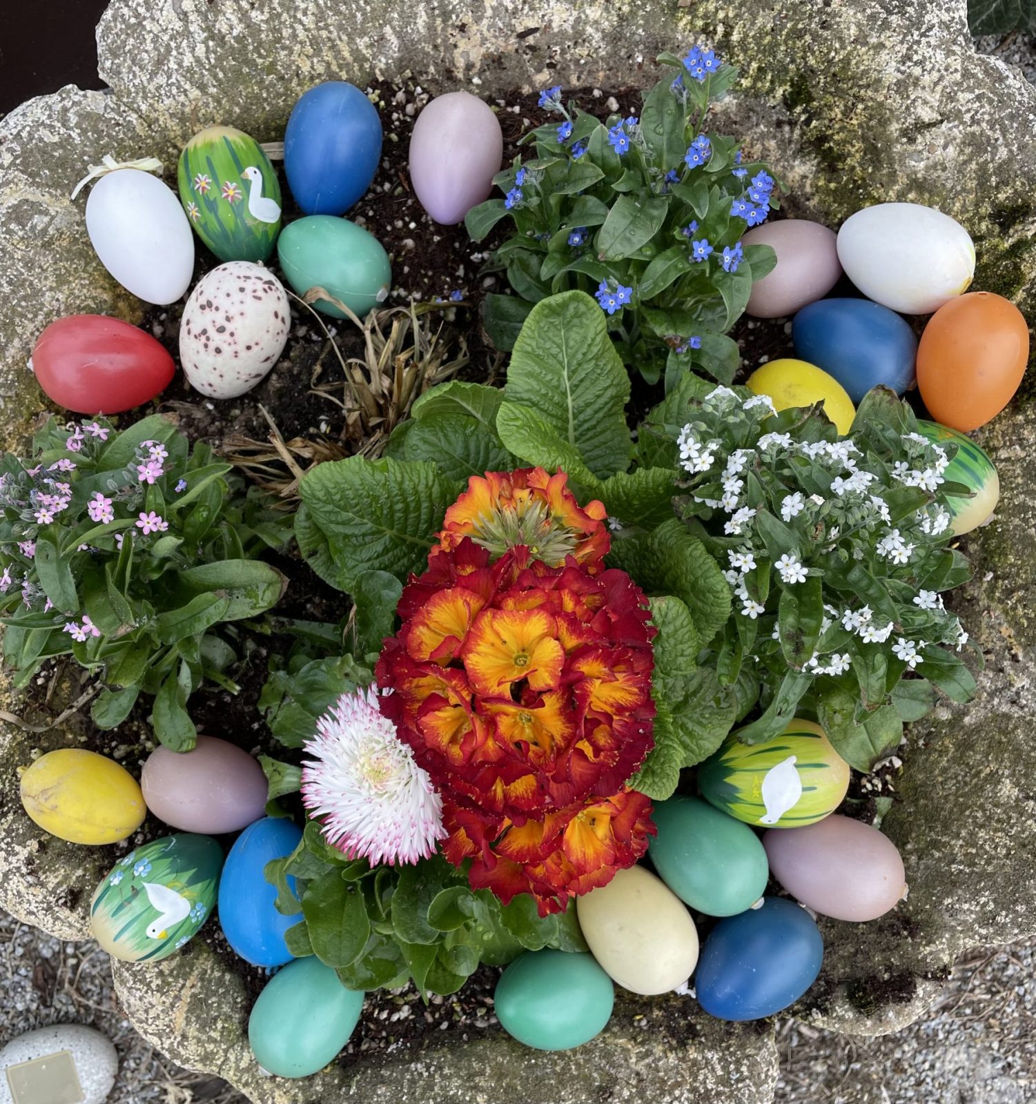 ABE1A87B-2EB6-48B1-BCE0-9675DD23E7C3