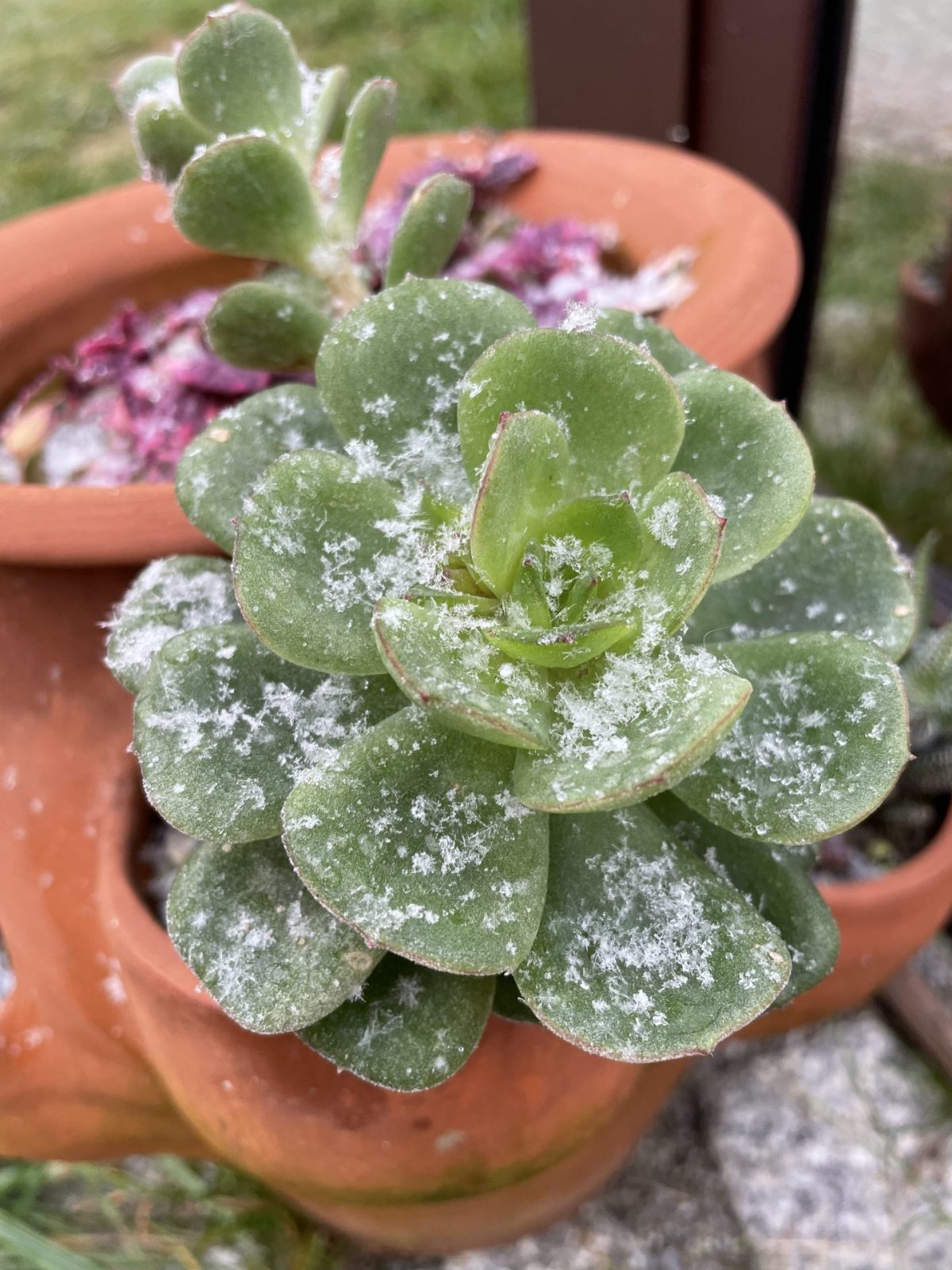 AC2B1598-7B03-4BFA-A349-B50C069B82EF