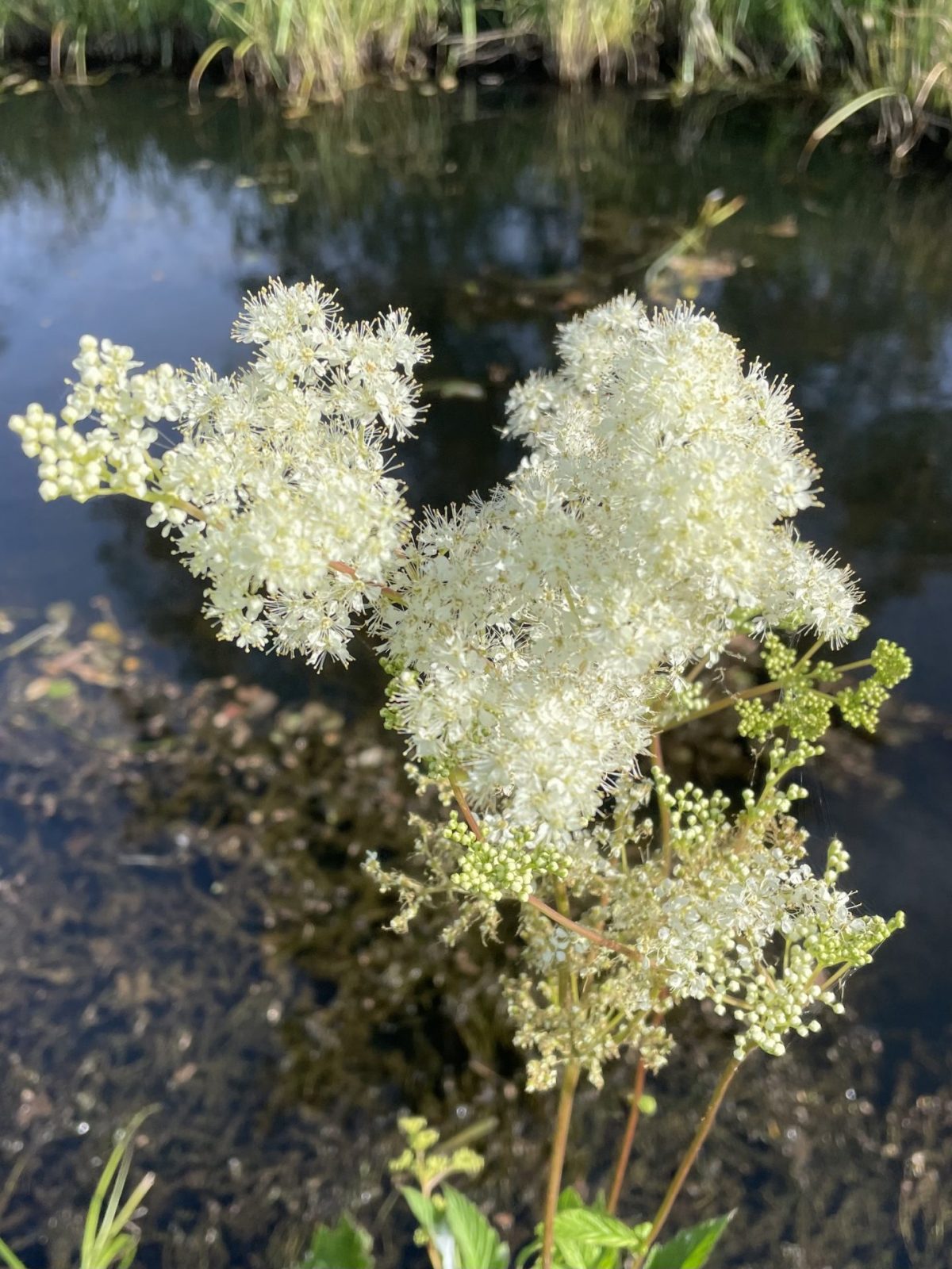 AC3E8C3E-390A-4E39-8B16-6E128EA306B9