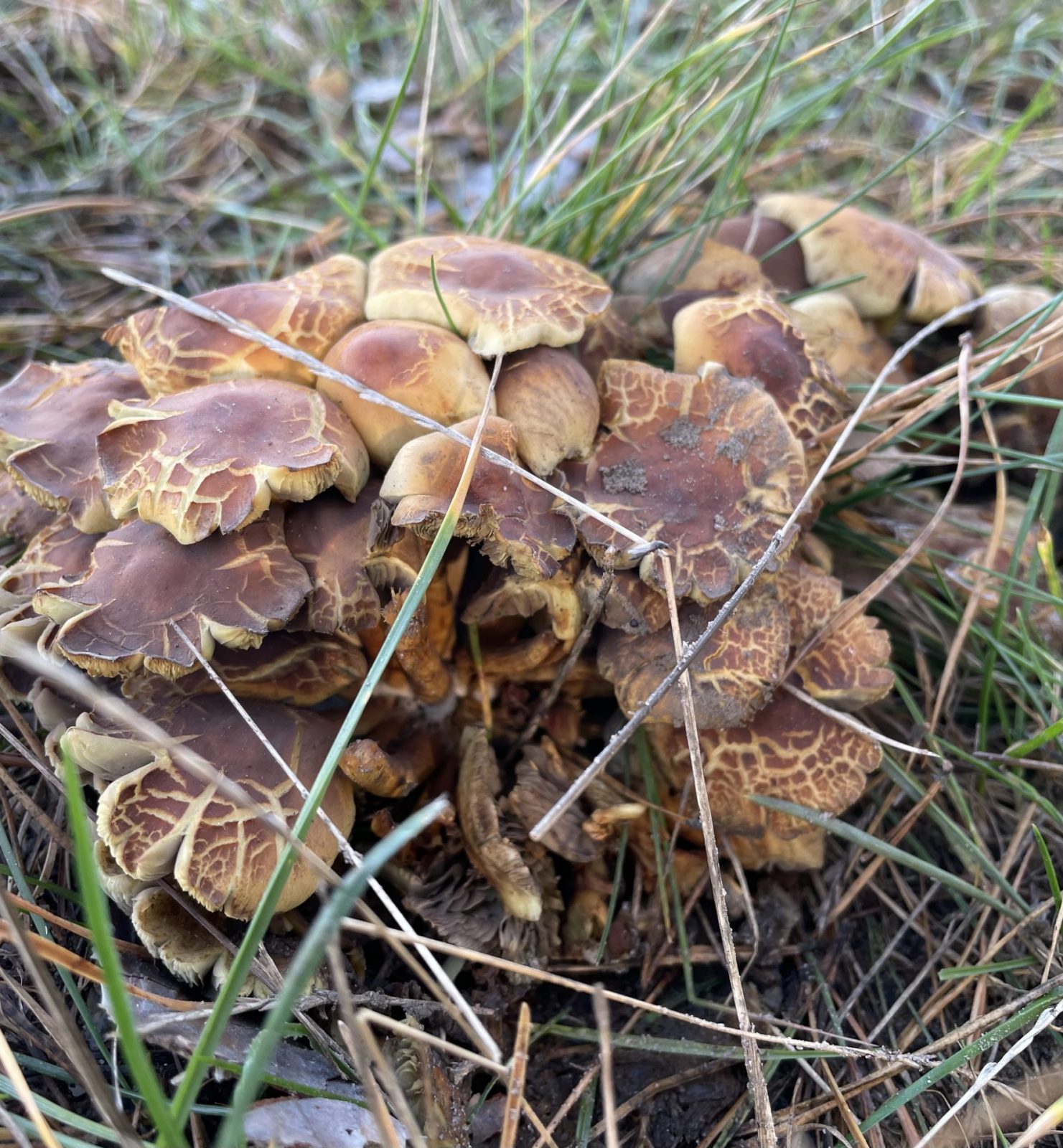 AC8BB8CC-6DBB-4A34-A104-B7C505260862