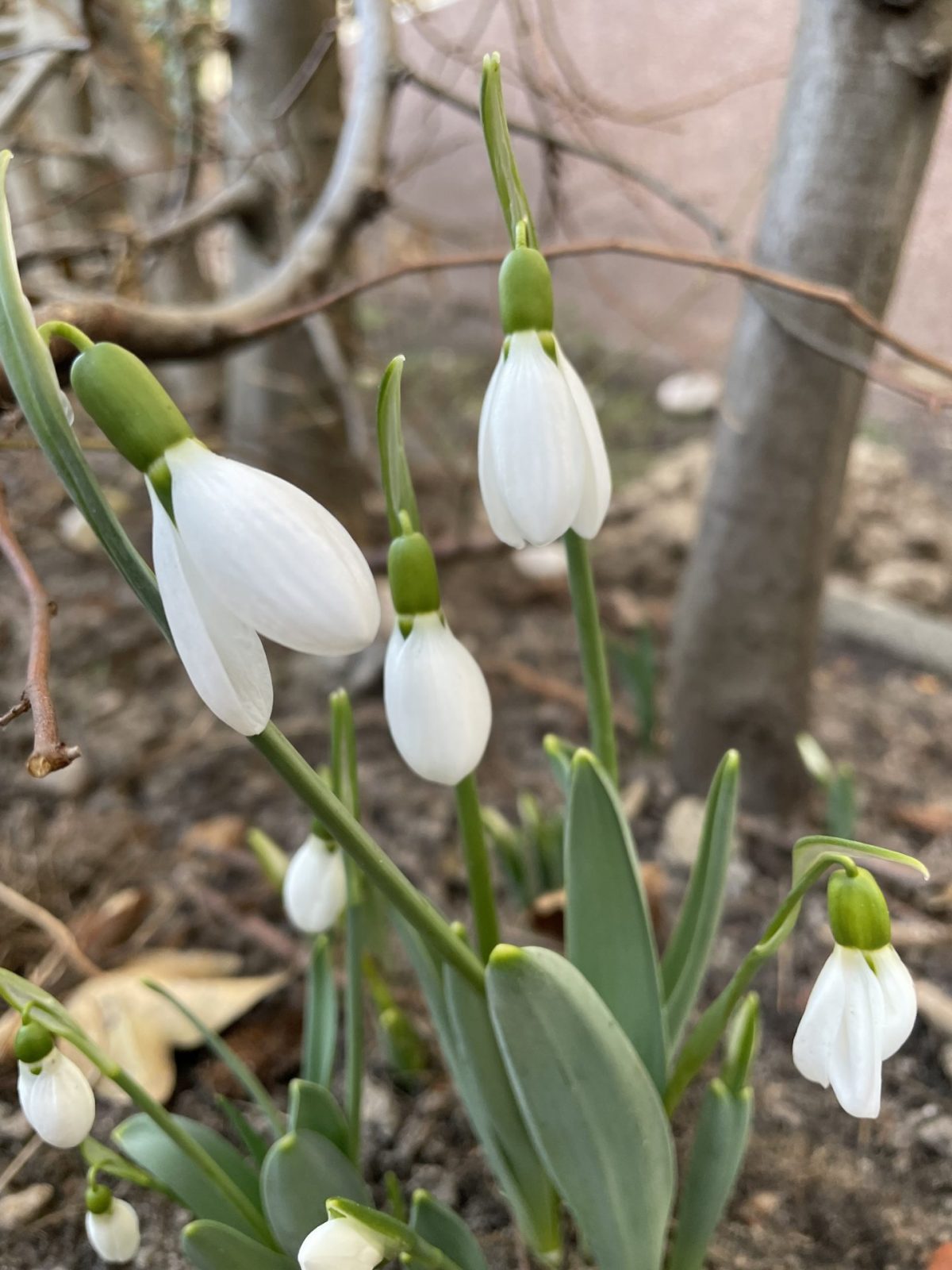 ACFFD536-7364-488C-BC85-8CF1940F0C21