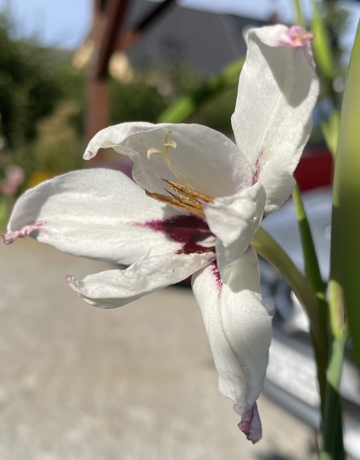 AD68F35B-14BF-45AE-B38E-79801DCFDB6B