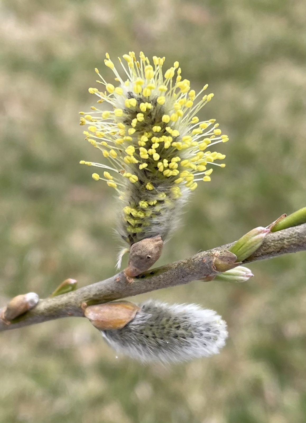 AD930E18-02F5-4959-B214-6ECDBFEB3540