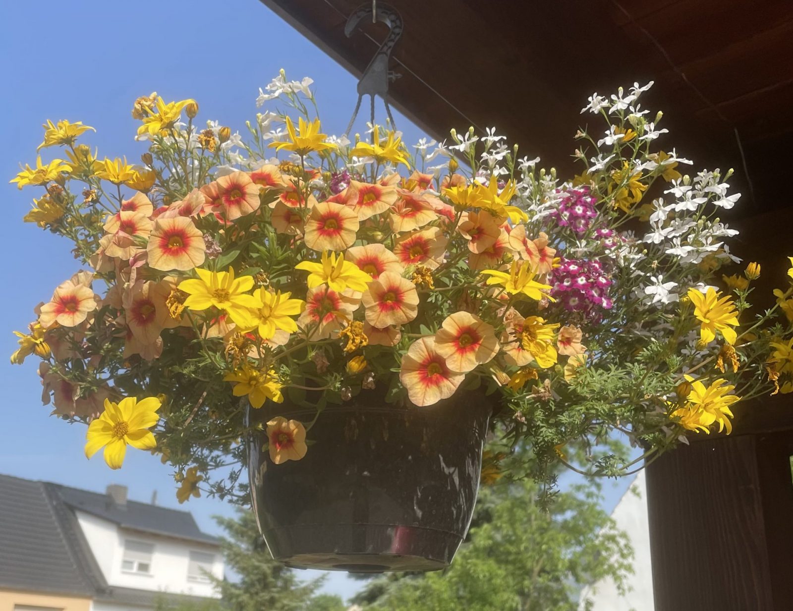 AD9390AF-C38D-433E-975B-797DFFF26E60