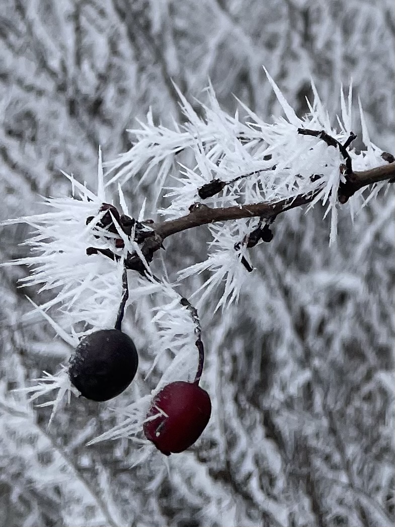 AD9896C4-0D66-451F-AB88-17E9A3747597