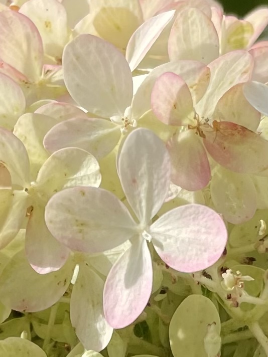 AD9B5ABA-4C5B-4DE9-8B64-17841BC58774