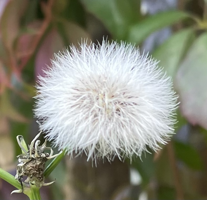 ADB3DD9D-7B86-400A-8123-6EBC6579092F