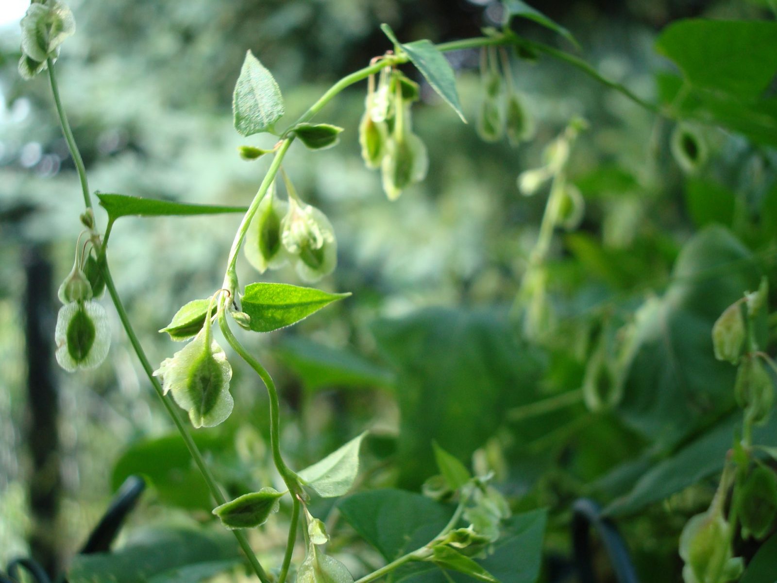 ADF88FE8-53E5-42D6-8C38-4B833298A2CF