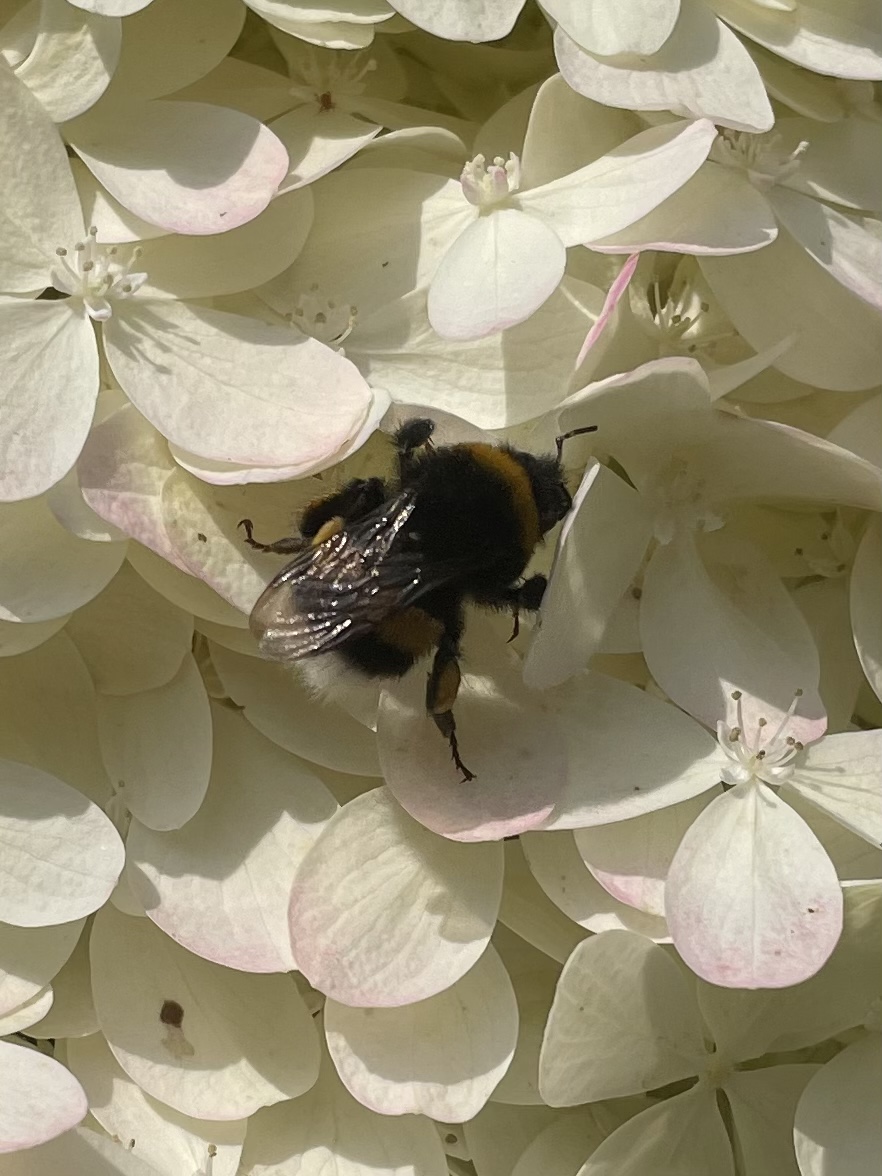 AE392931-F718-4D09-B5C1-6A64A8C50F5C