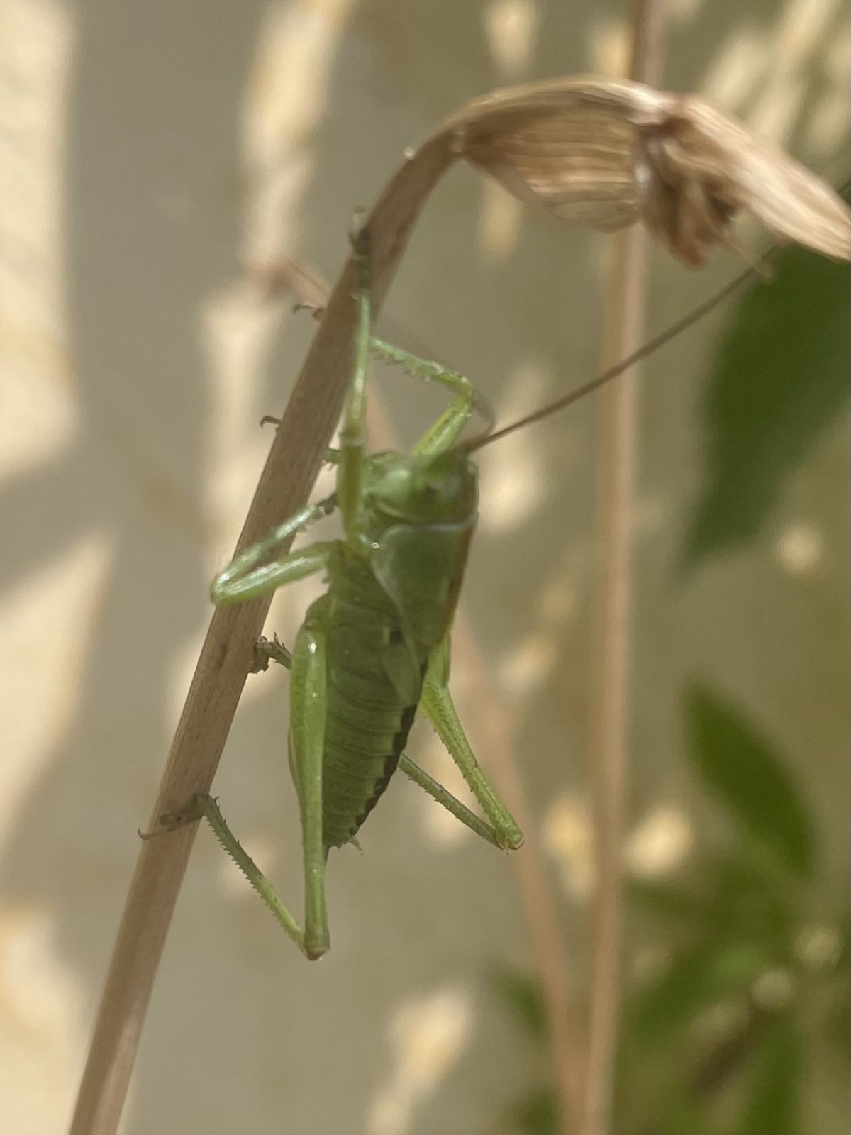 AE4292E1-1495-420B-81EB-0C4AE0DE7118