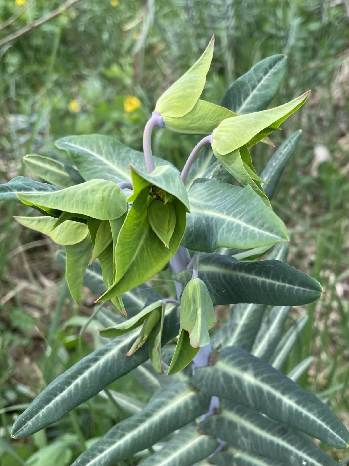 AE9CDEE5-1F3F-4712-B834-B21463FD7536