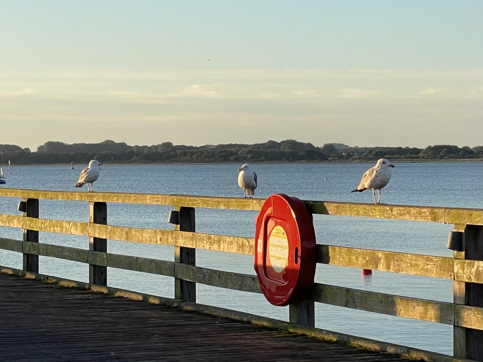 AEA5B4DD-CDBD-43C1-940E-D47C4FDF1655