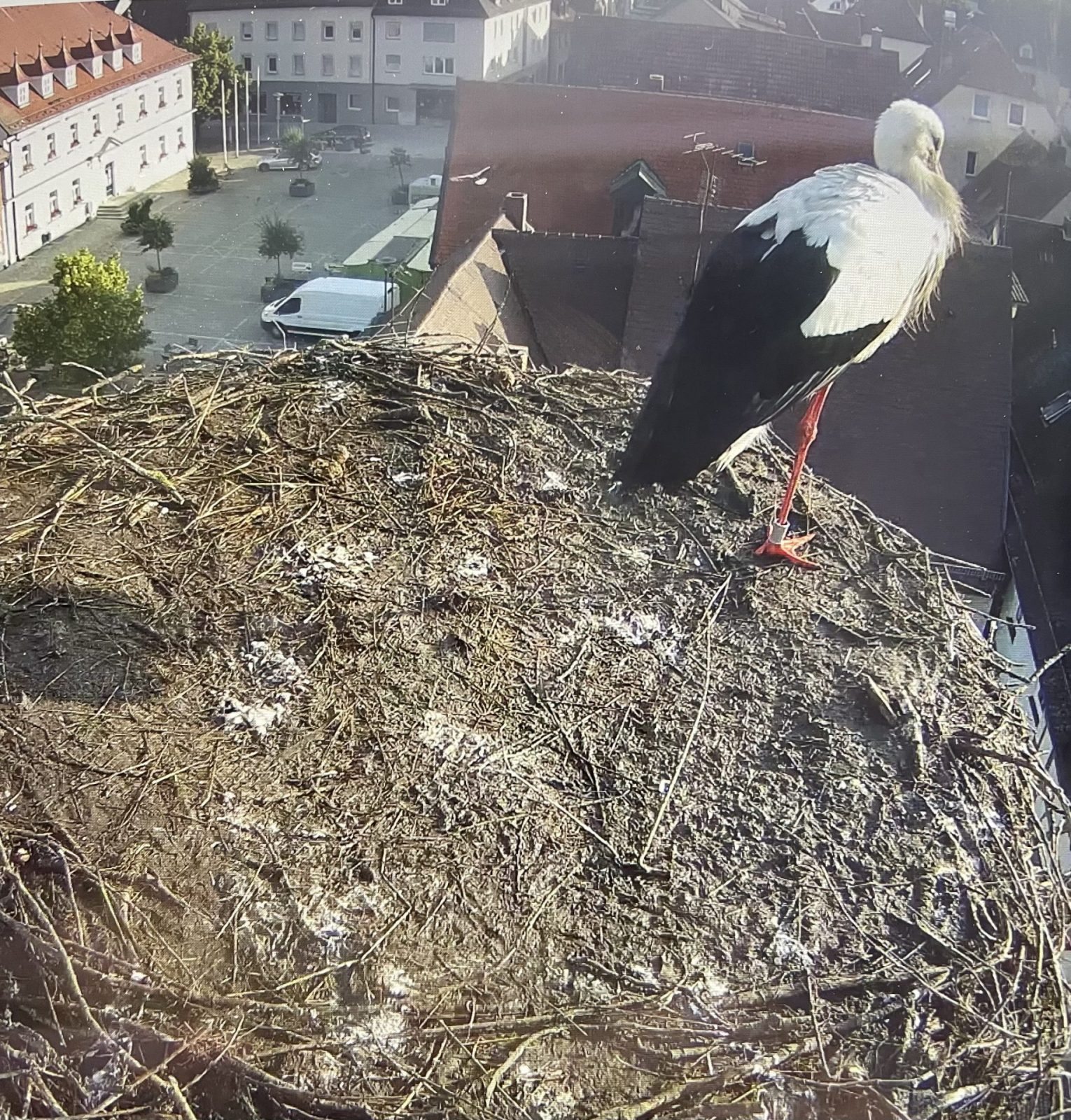 AEE19657-A519-47C8-A046-E6FF9FC98EE5