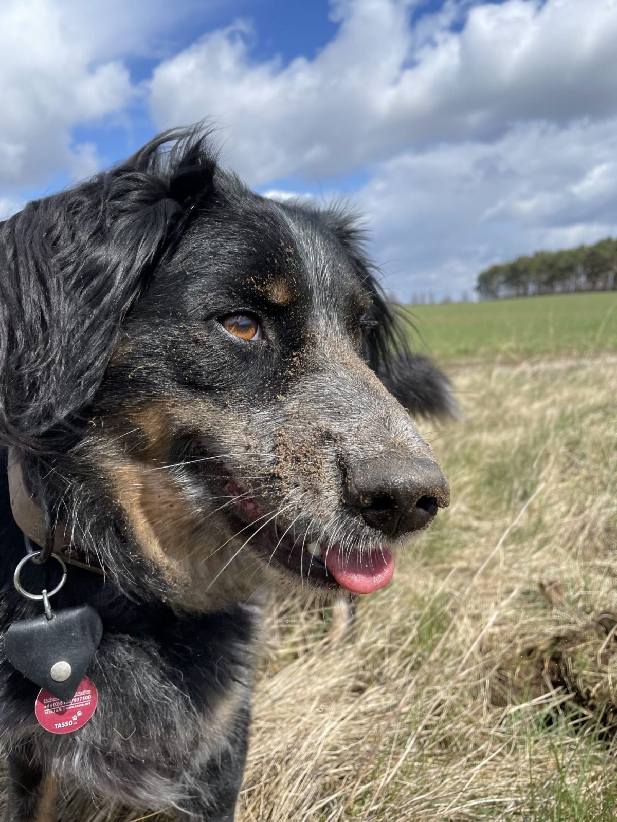 AF4277B3-54F4-4D04-9427-E9424F5195F8