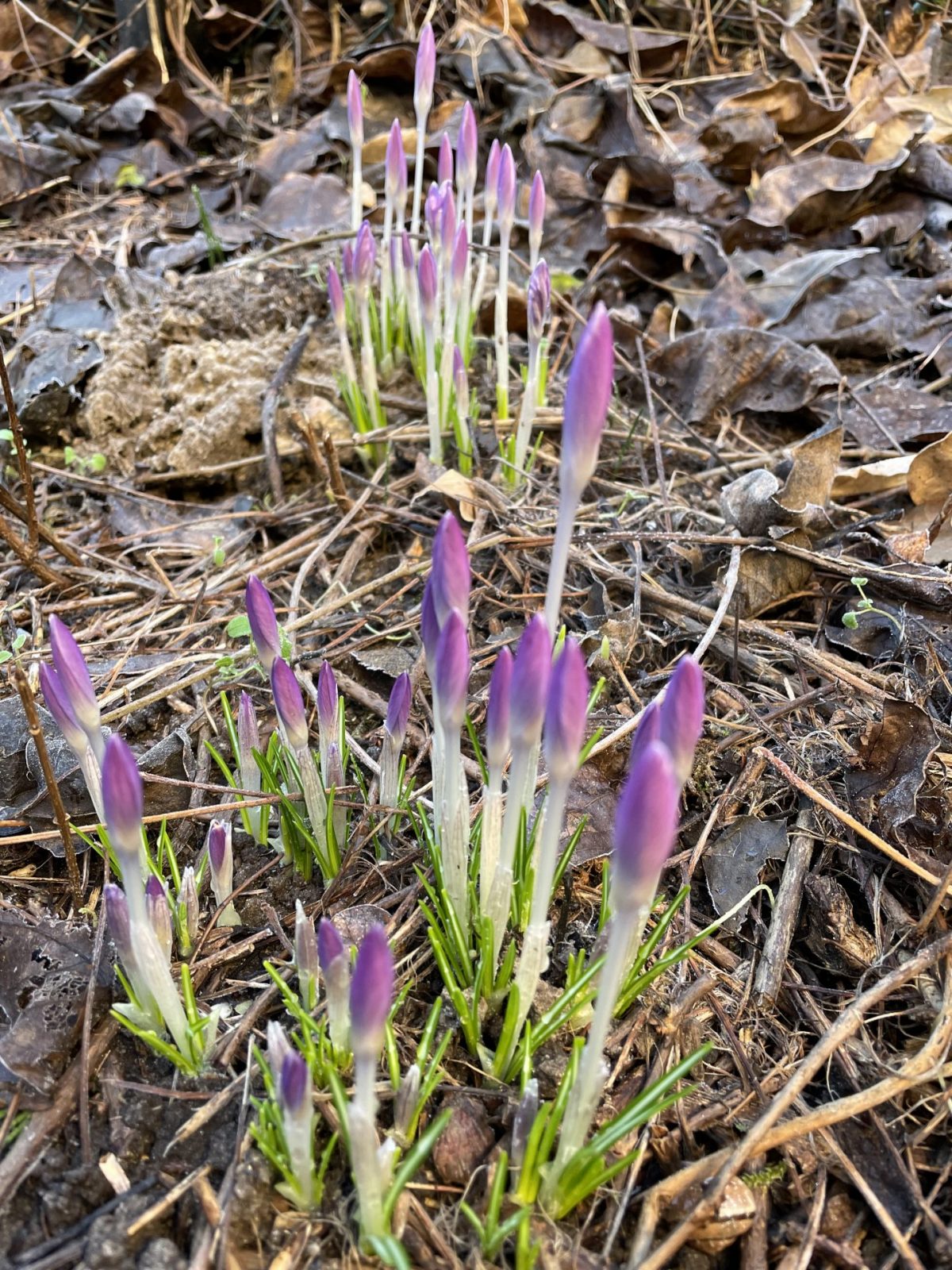 AFA095E6-C51B-48AA-B69B-DBAFB854C804