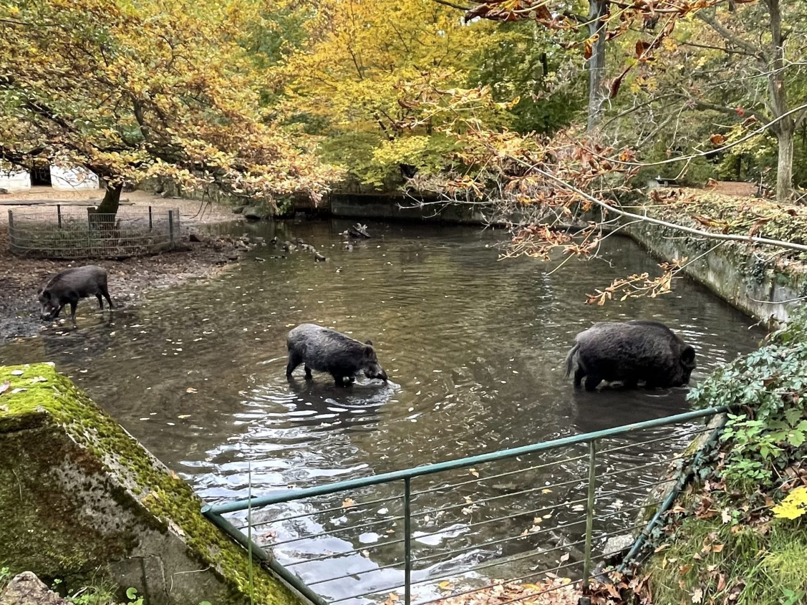 AFB8F342-DFEE-4C49-B244-3BD747382F6F