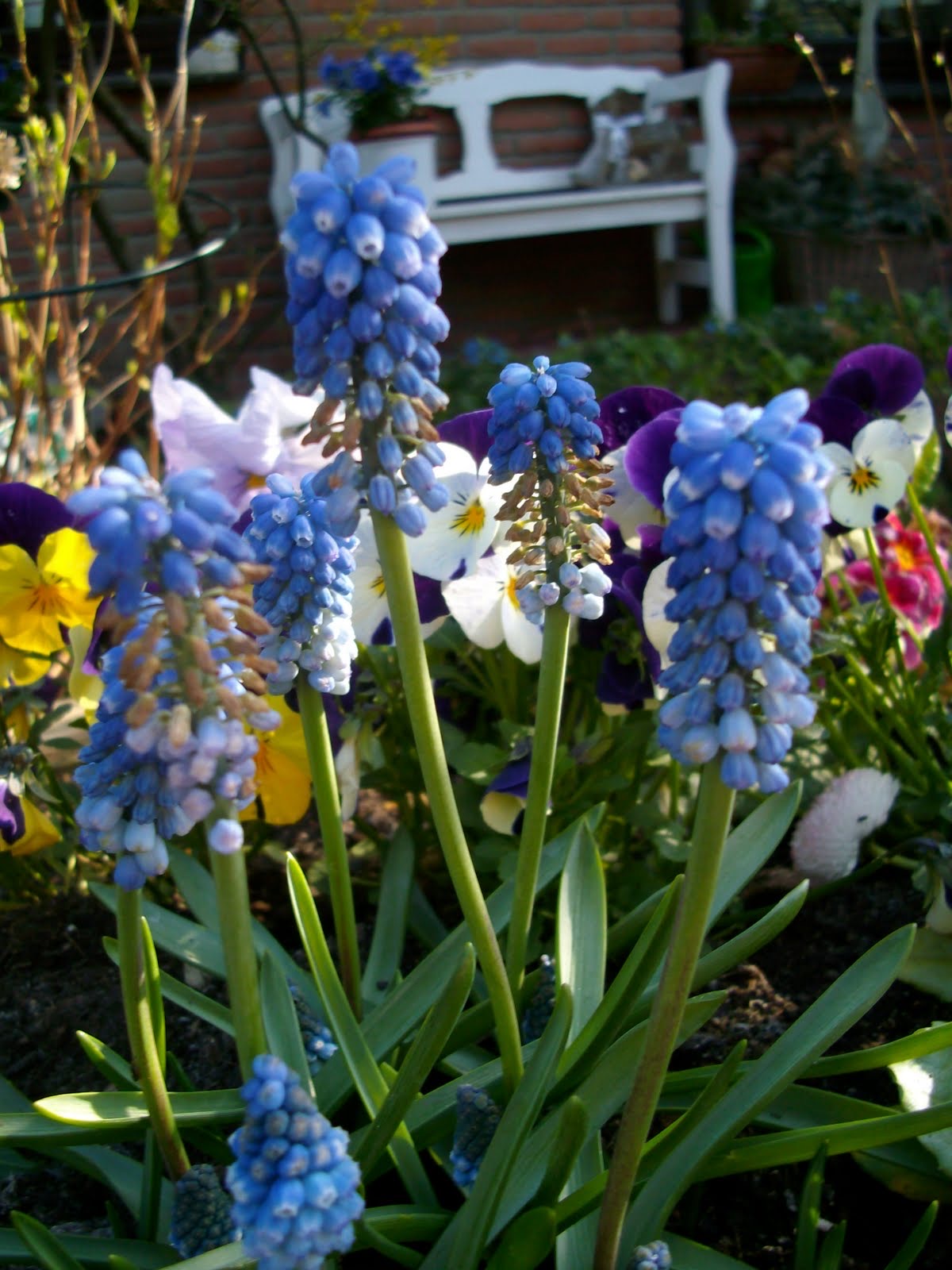 PENTACON DIGITAL CAMERA