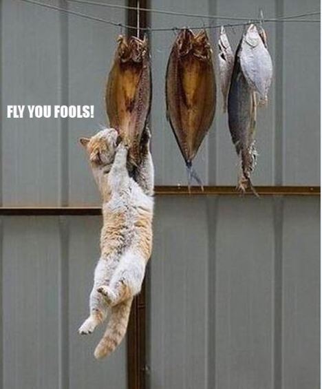 AM FREITAG GIBT ES FISCH