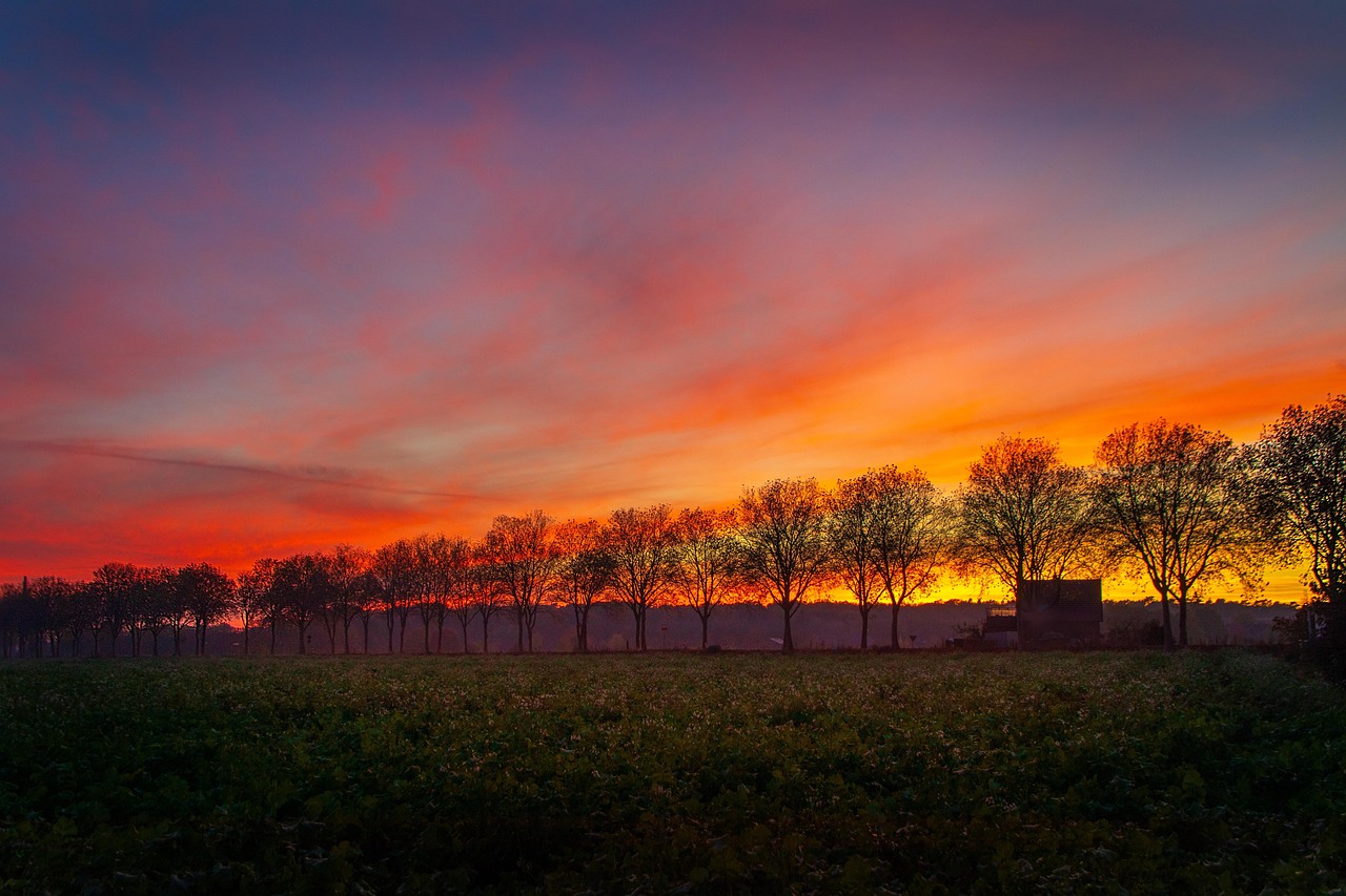 Abend Bäume roter Himmel 18.9.25