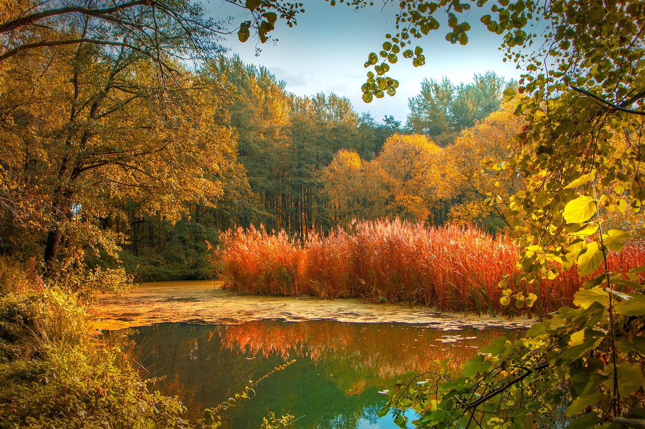 Abend Herbst Farbe Bach 1.10.25