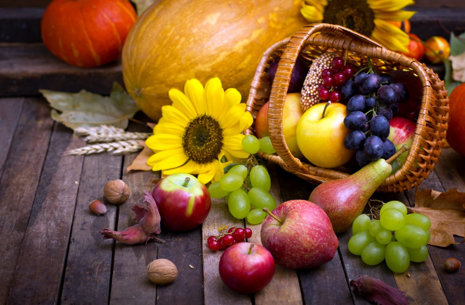 Autumn_Apples_Grapes_453193