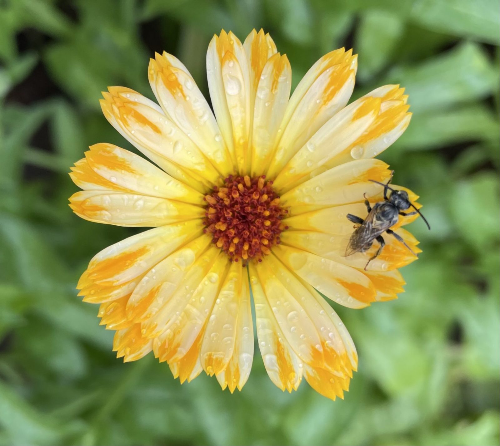 B006E938-C069-47B6-80CD-A51EFFCB0971