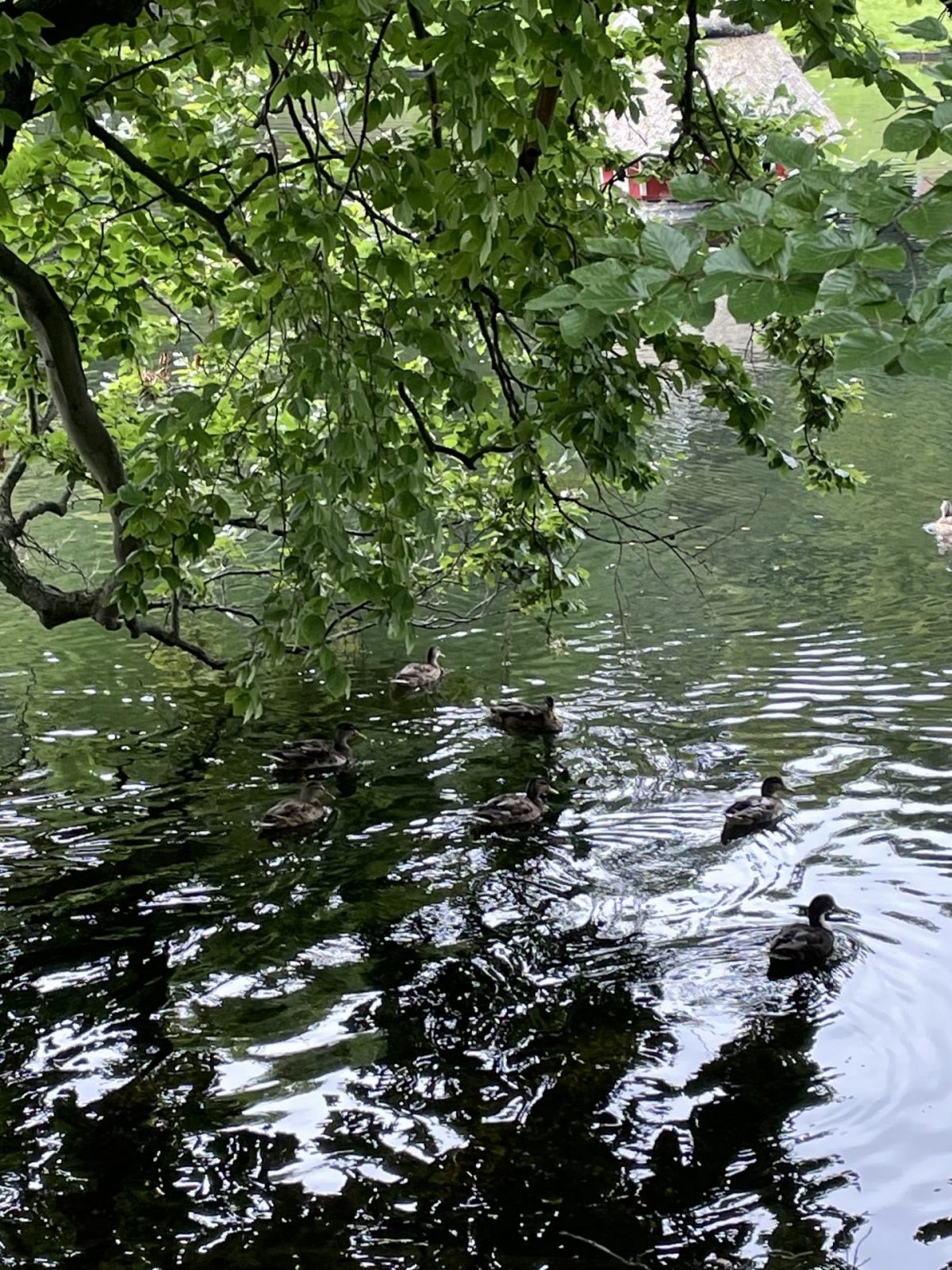 B0291E01-B888-4577-A4AA-EC132A49C8D1