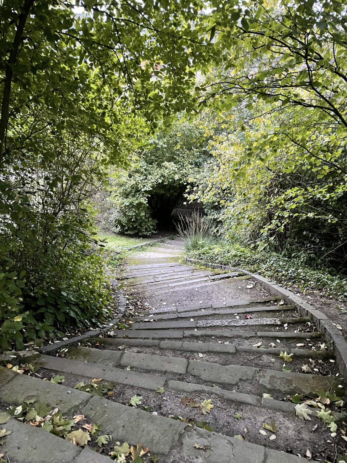 B04AA866-930F-4239-A45C-098FEA86A557