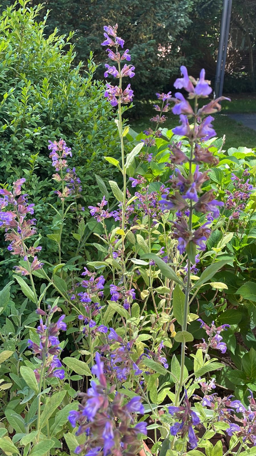 B07A5739-E33C-4F25-B743-0895552B23A5