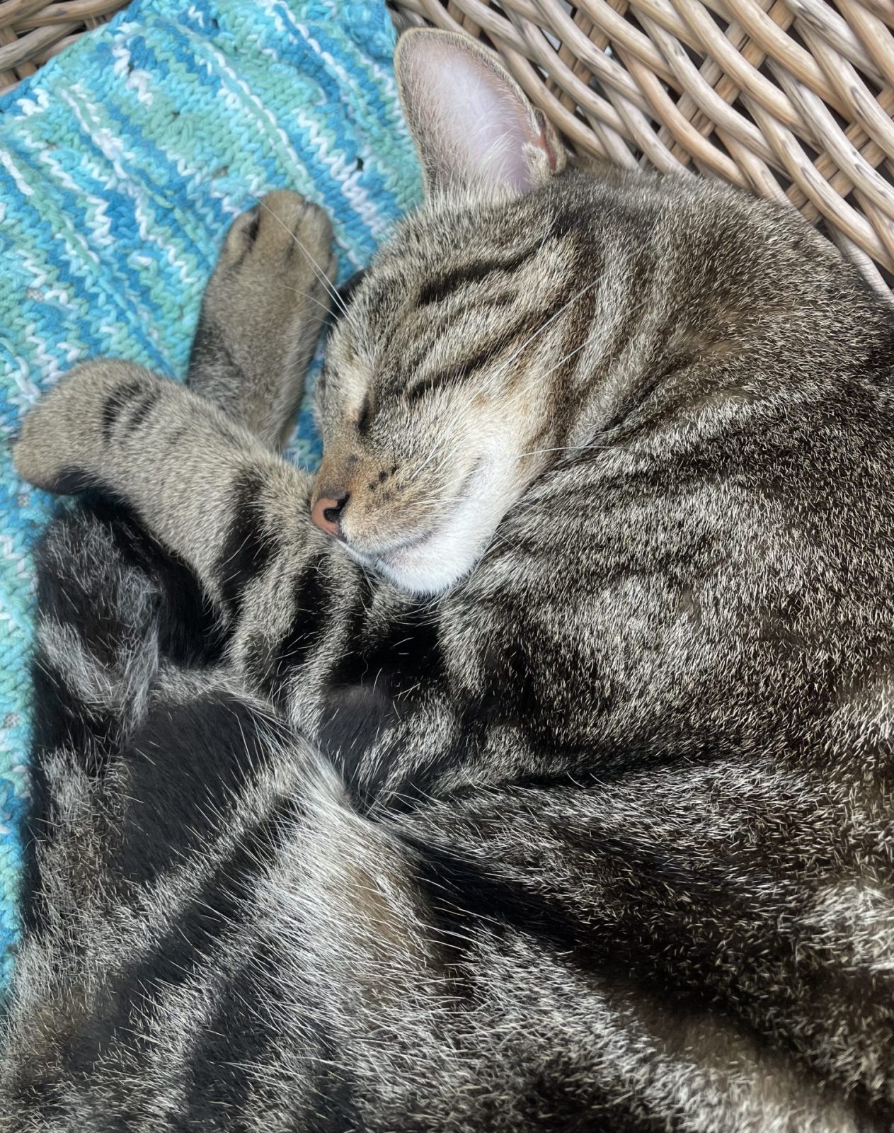 B089837D-20CA-44A5-8E7E-E9509525E0CD