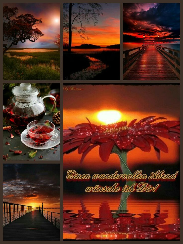 B08B3217-1F91-4C0D-9F92-E825C3ADB0C1