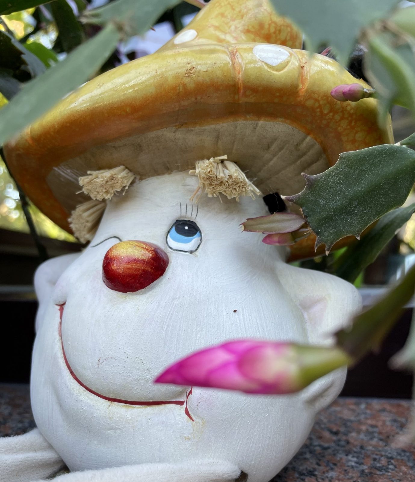 B09562FD-EAA0-4F69-80C1-B093BD5E55A5