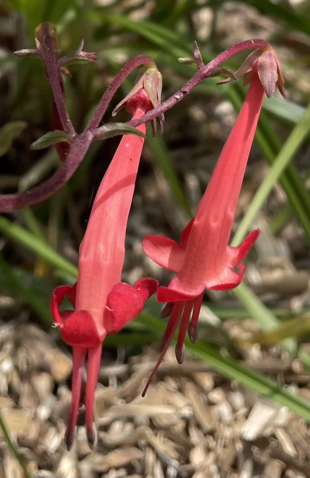 B0B52A55-118D-4039-BBDC-9BEEA2FFB5DD