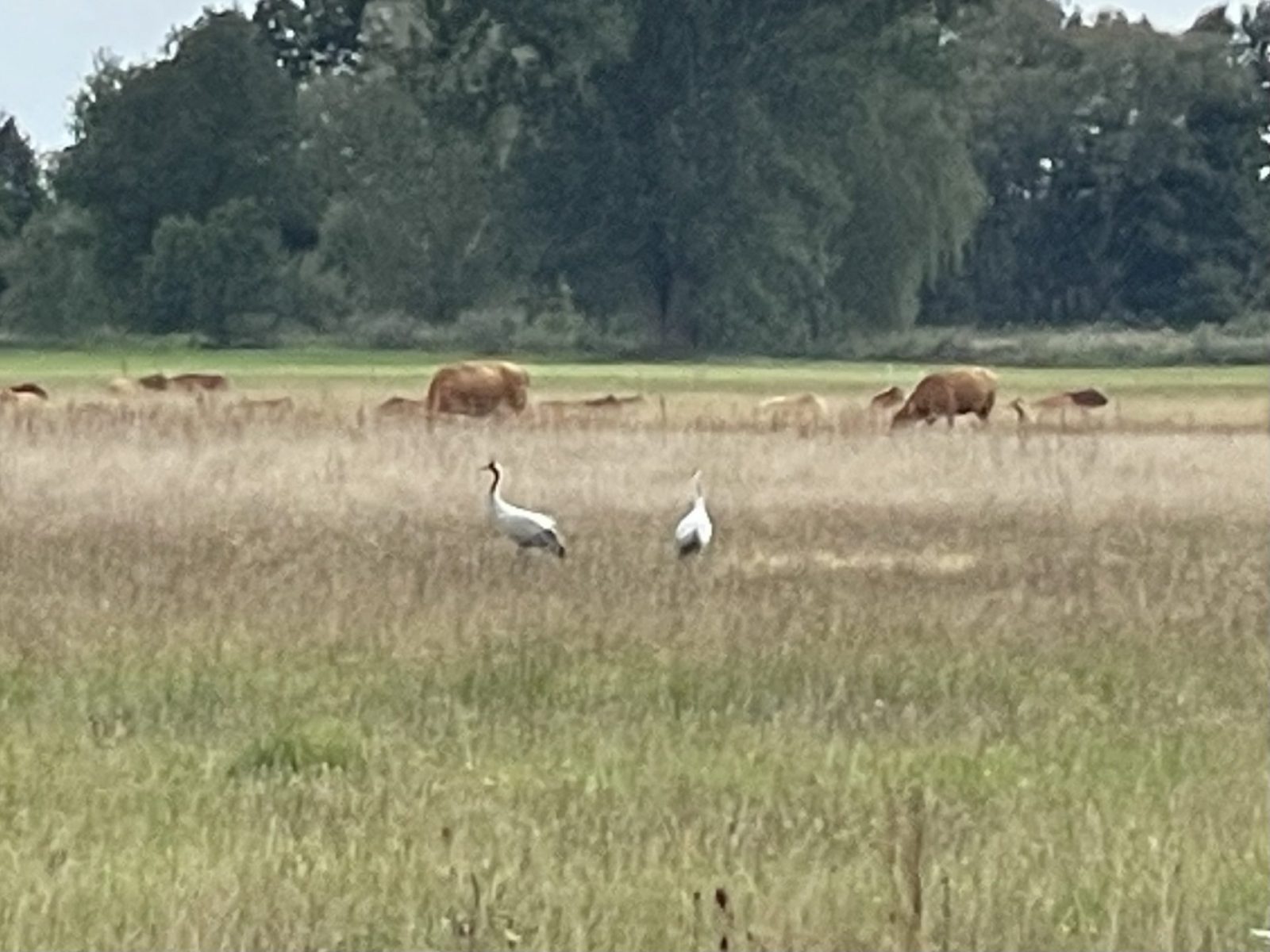 B1A49C7F-A70D-4011-A014-2A15B8B649EE