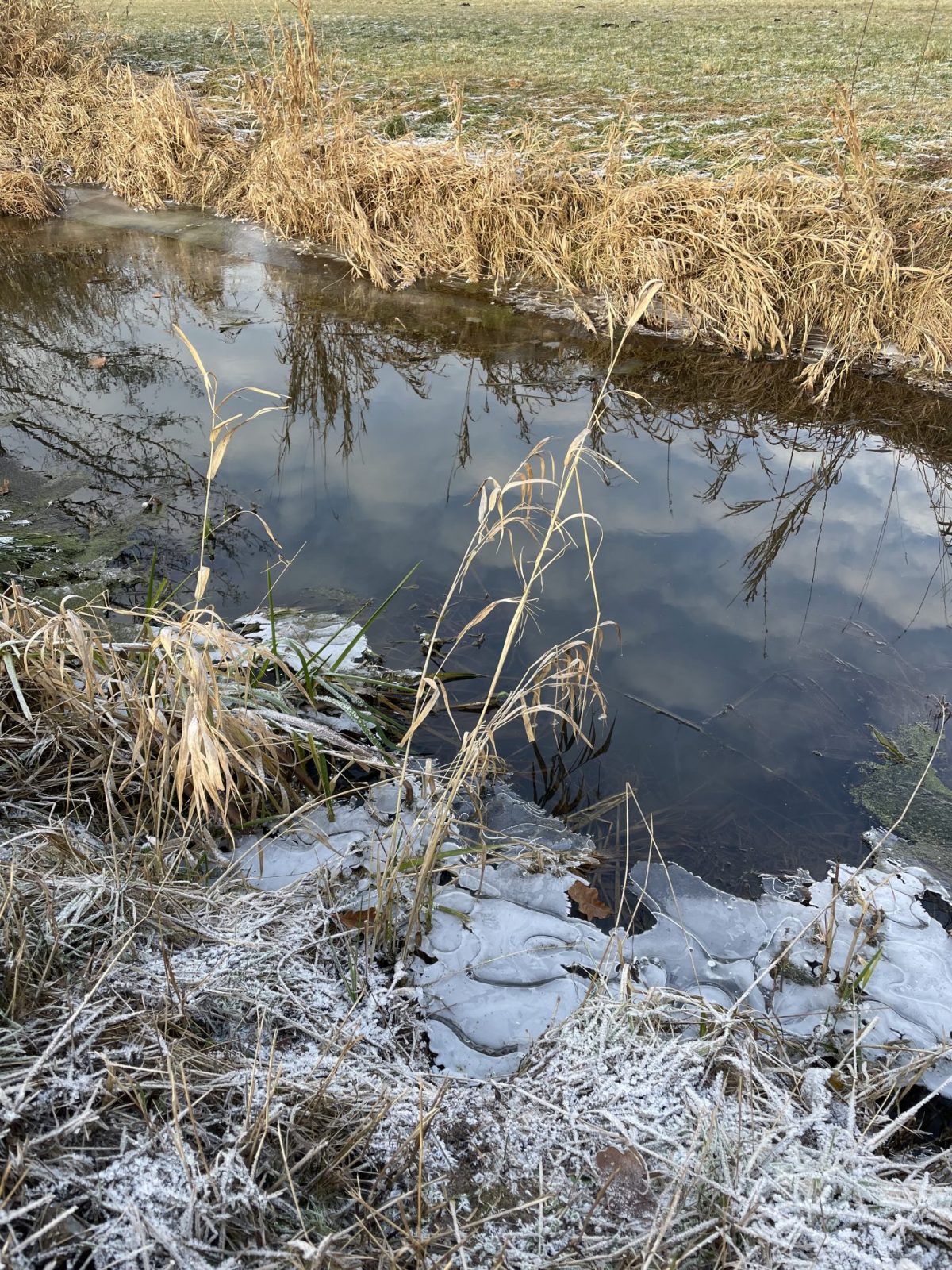 B219B842-64BB-4E2C-A6A3-4040A2BDC864