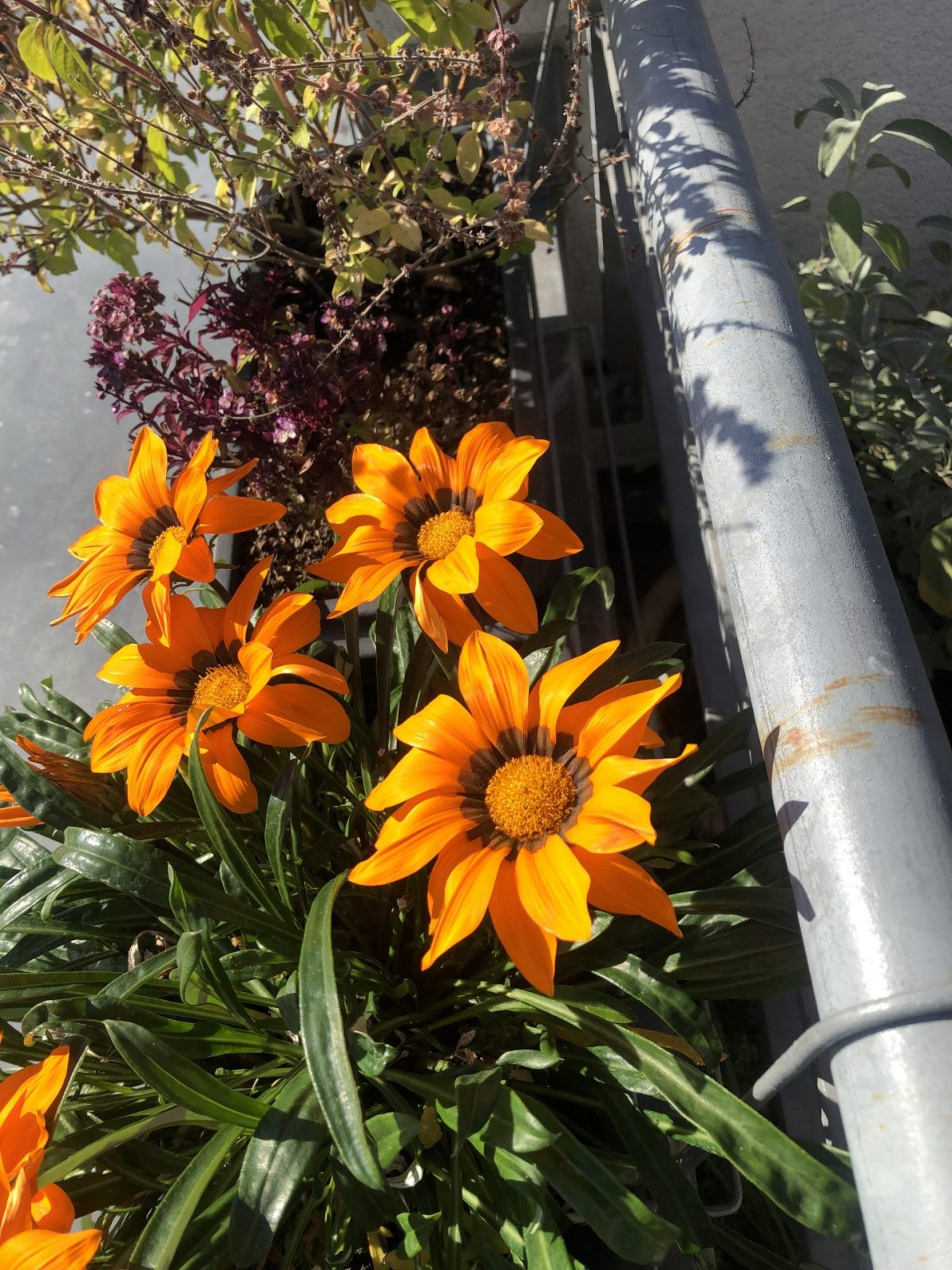 B22329F1-187C-4FFE-B20D-7D192045E5FB