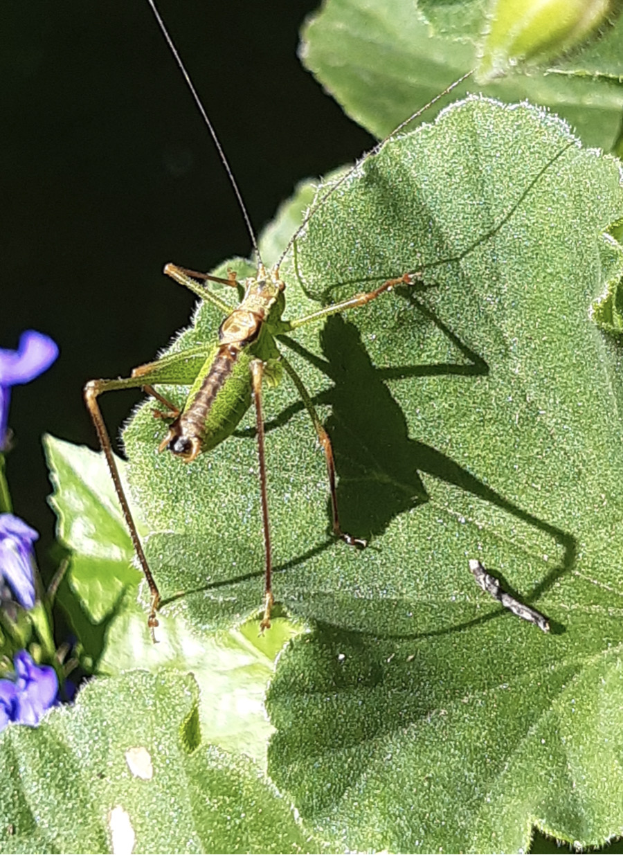 B241BBD5-6C8A-41F3-BE10-991240CAB970