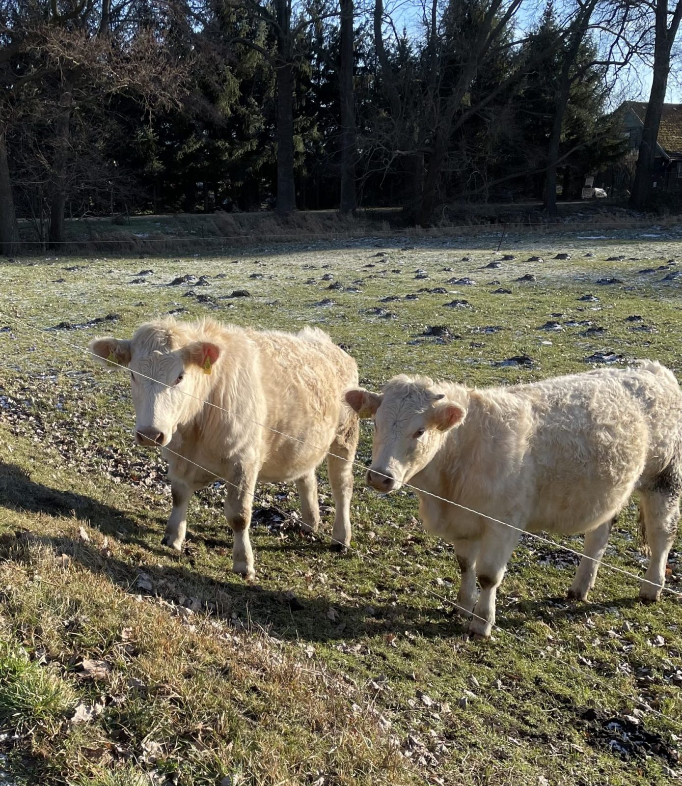 B243ACD7-5F37-45AC-8287-1AC9B05D8345