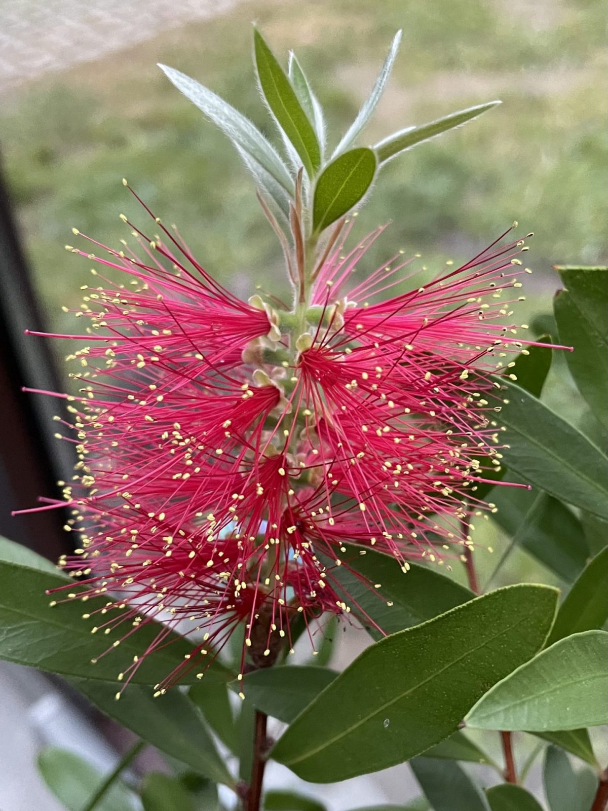 B28A75AB-71AB-4EA3-8410-F2763404A8DA