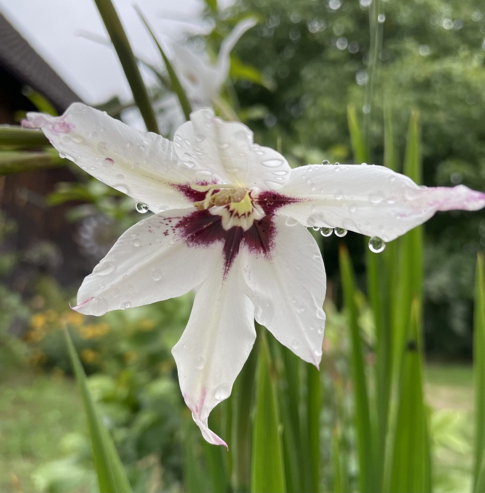 B2EA7B64-2EAE-494B-B1C9-529FCA54A24A