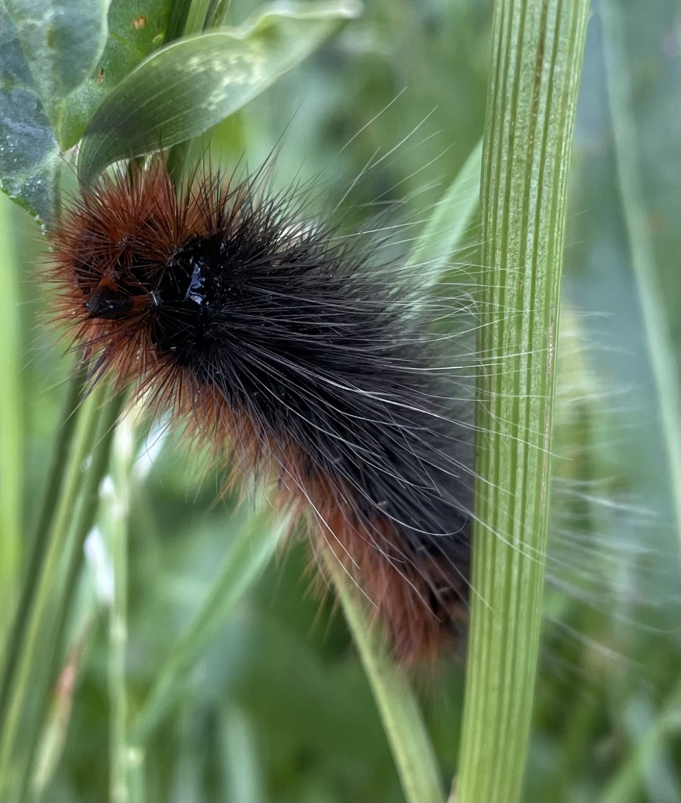 B31B9453-B718-4E66-B648-A66E34C1011D