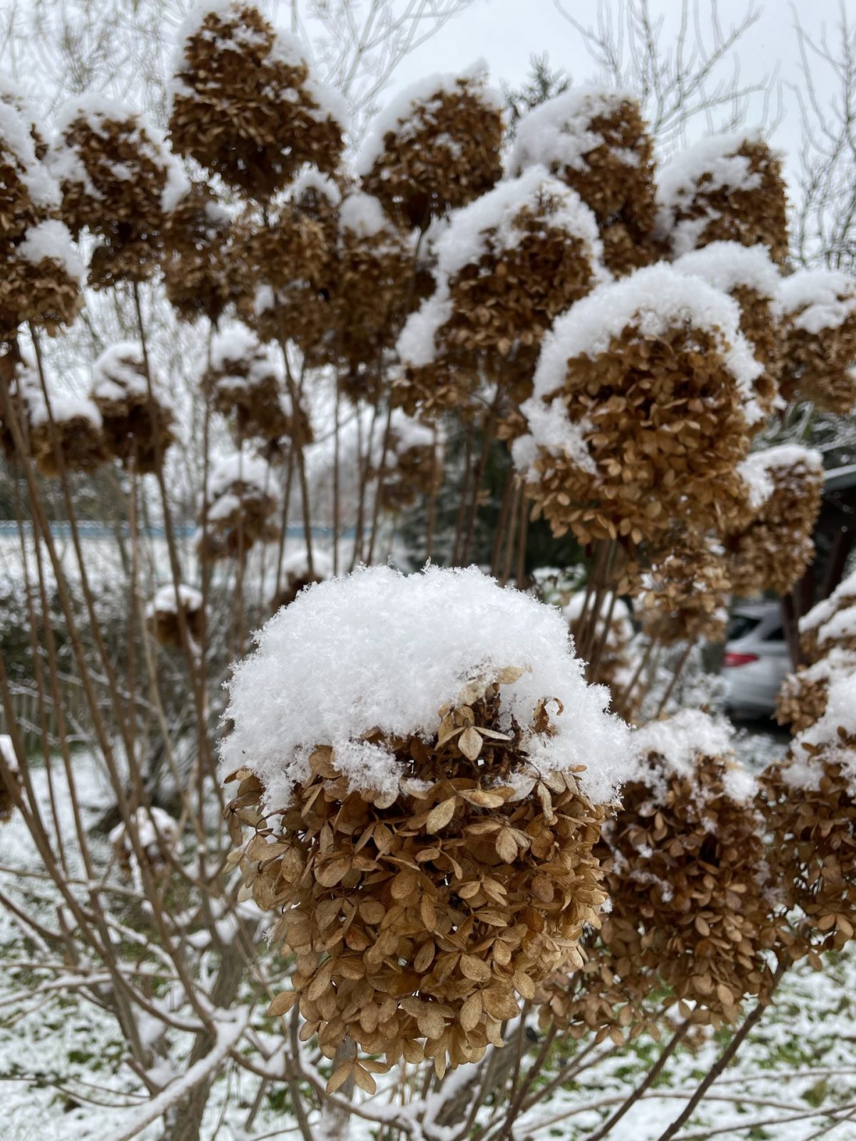 B39E3F62-163D-4469-8445-D17BAE0EBF62