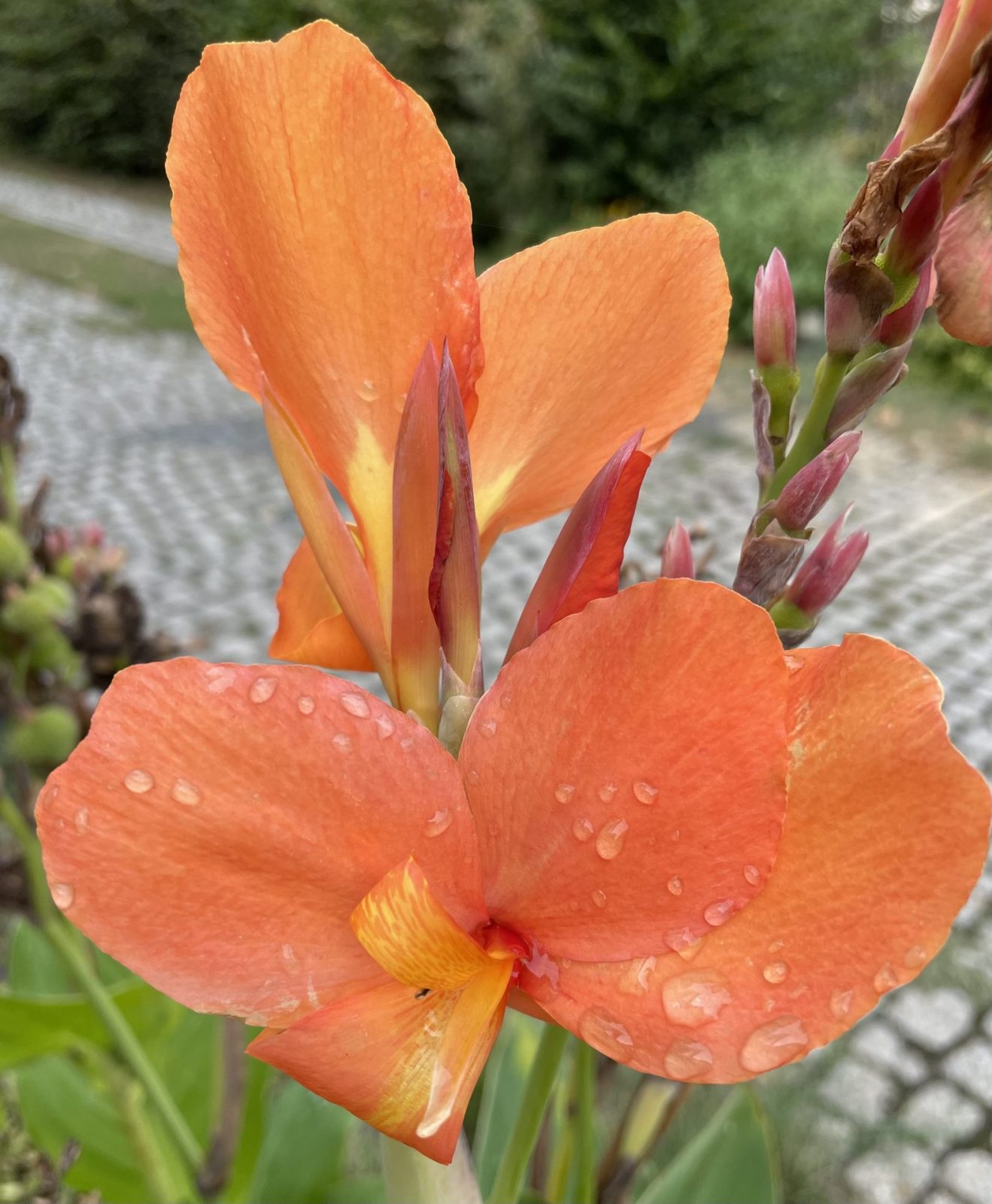 B4116DDC-7E47-4A01-9F5B-177048A648A5