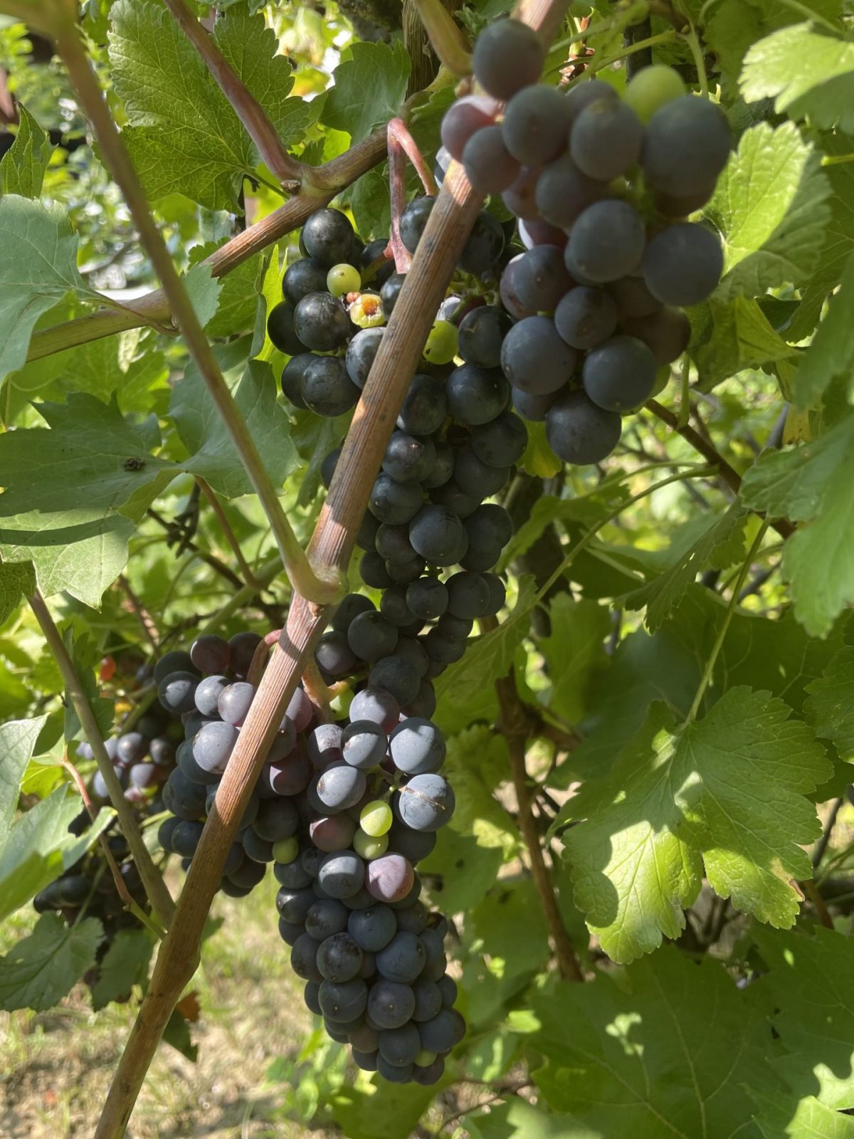 B41A6132-562E-4873-829B-D28C6C62736B