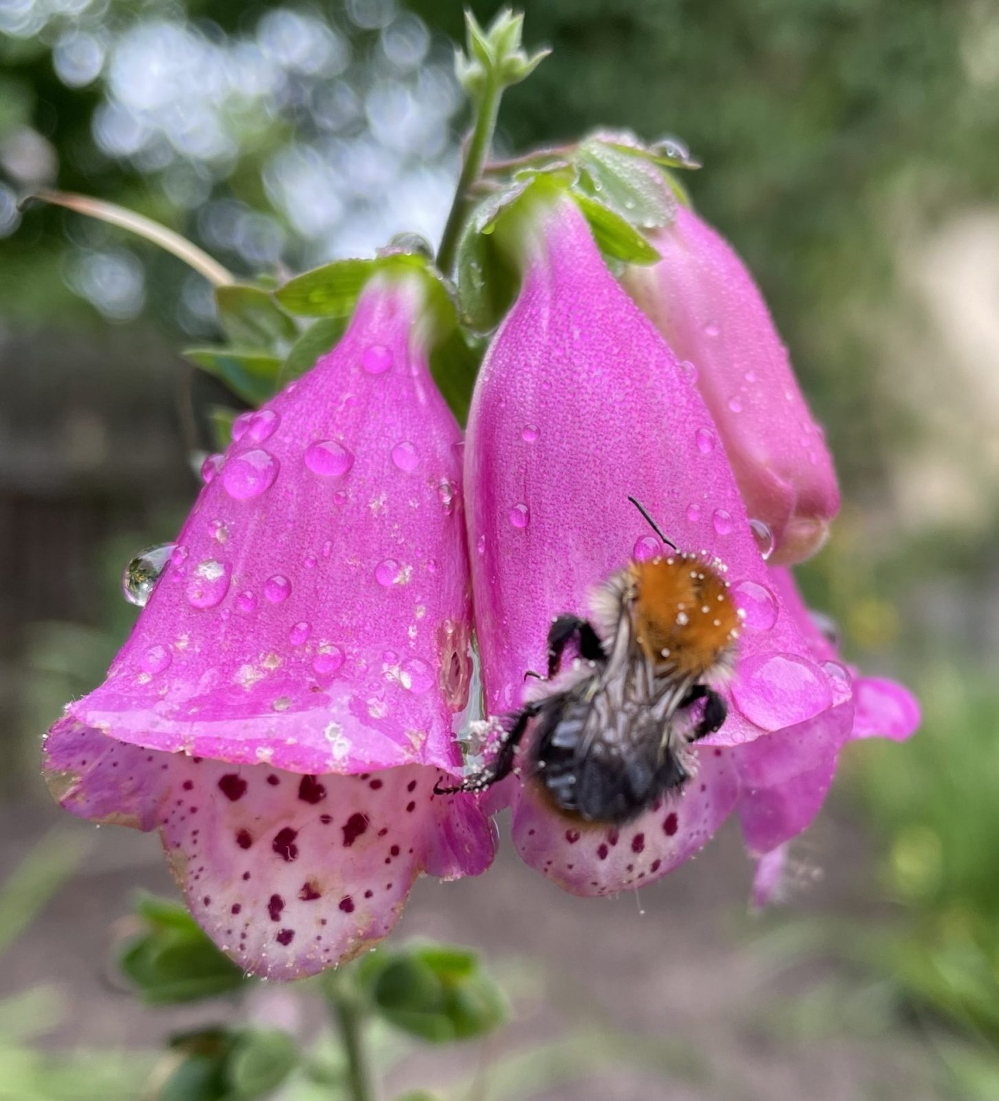 B42CA049-4EB7-46CA-9B05-E140A290C03E