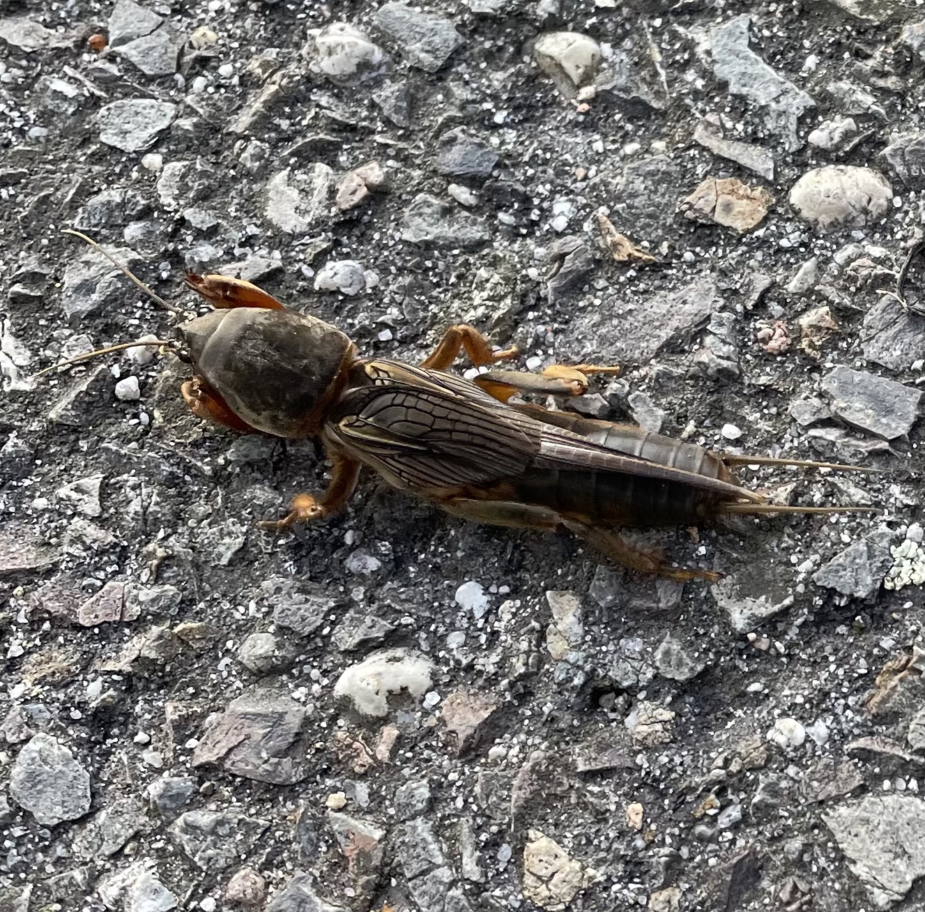 B44B71B3-ACA2-4F08-97AA-B5B1C3D9D3BD