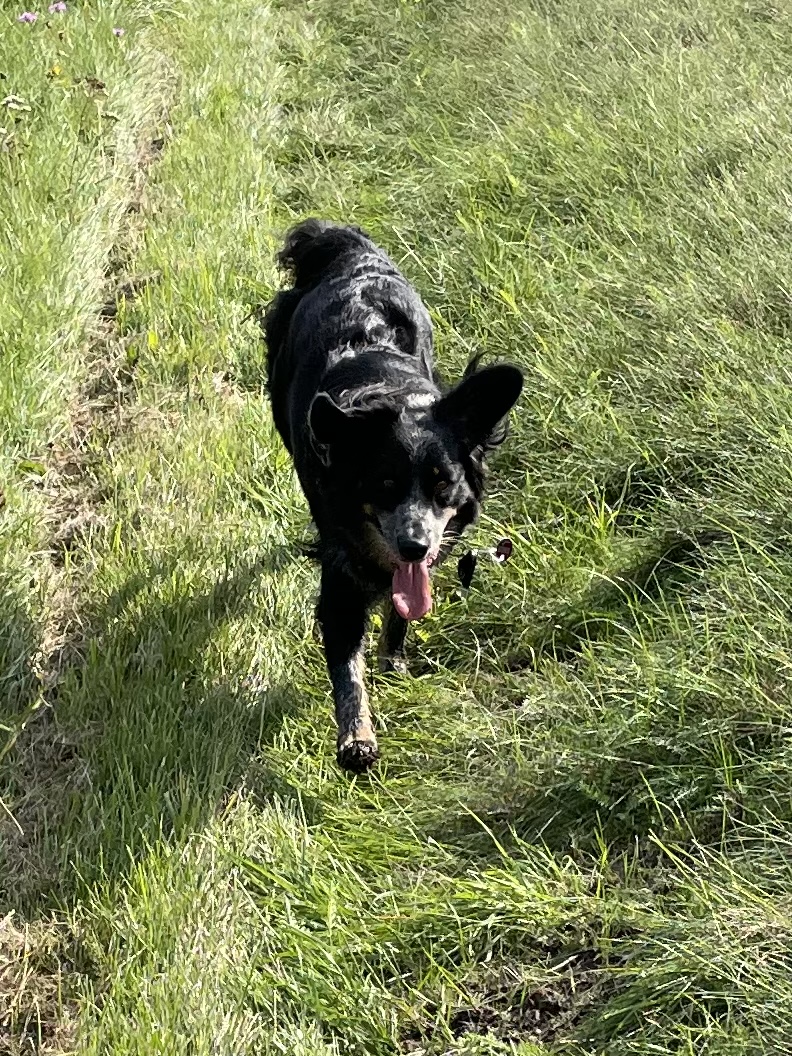 B44E7418-D0E9-4B46-A57E-EB194437BB3E